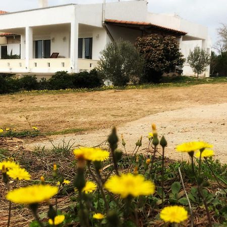 The Hillhouse Near Alexandroupolis Villa Екстериор снимка